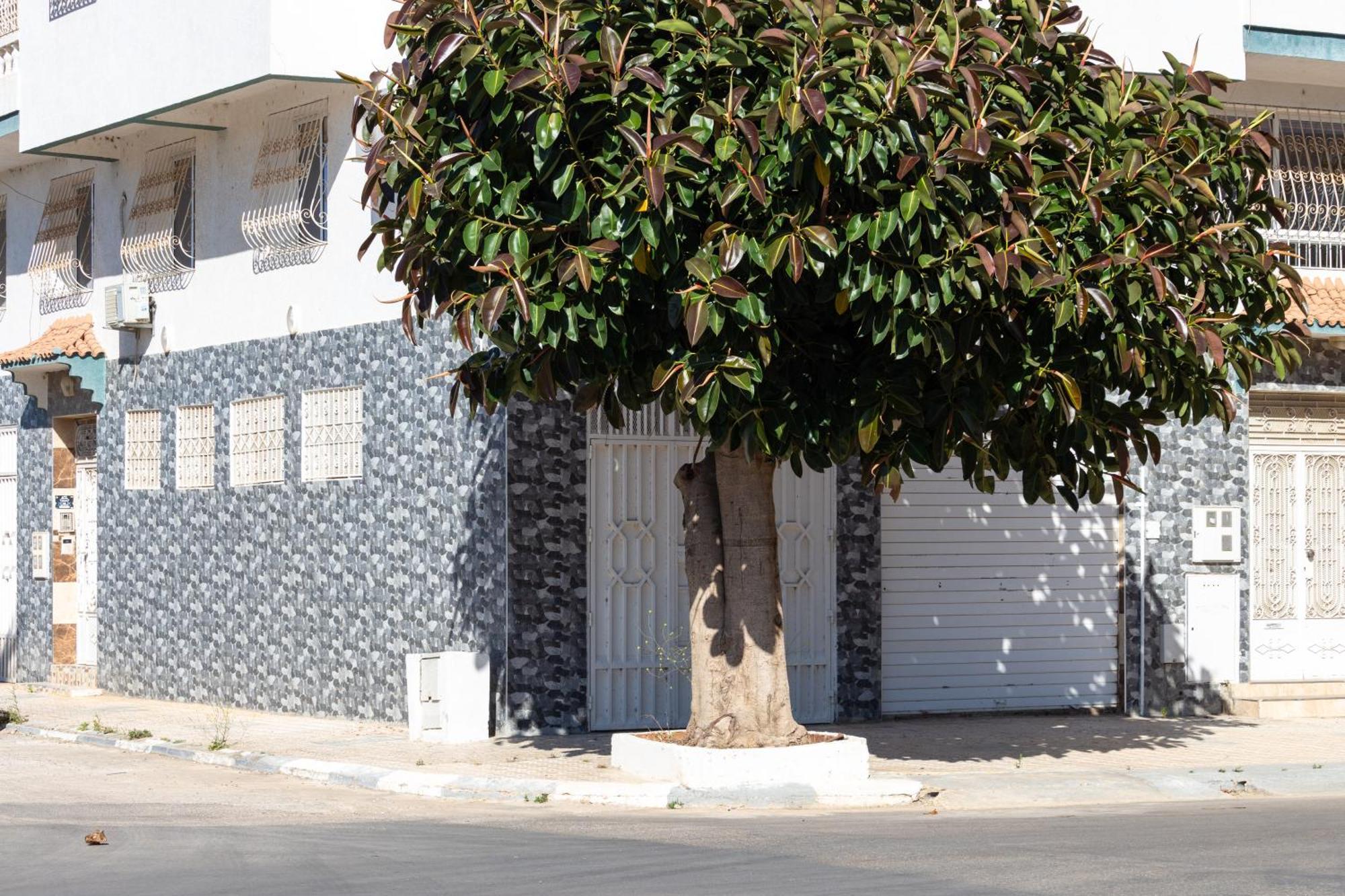 Appartements Calmes Et Spacieux Tétouan Dış mekan fotoğraf